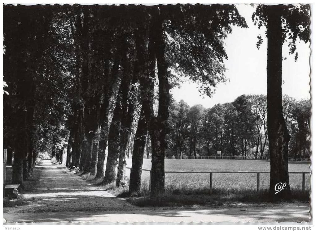 39 Jura "CLAIRVAUX Les LACS" Le Parc Et Le Stade - Autres & Non Classés