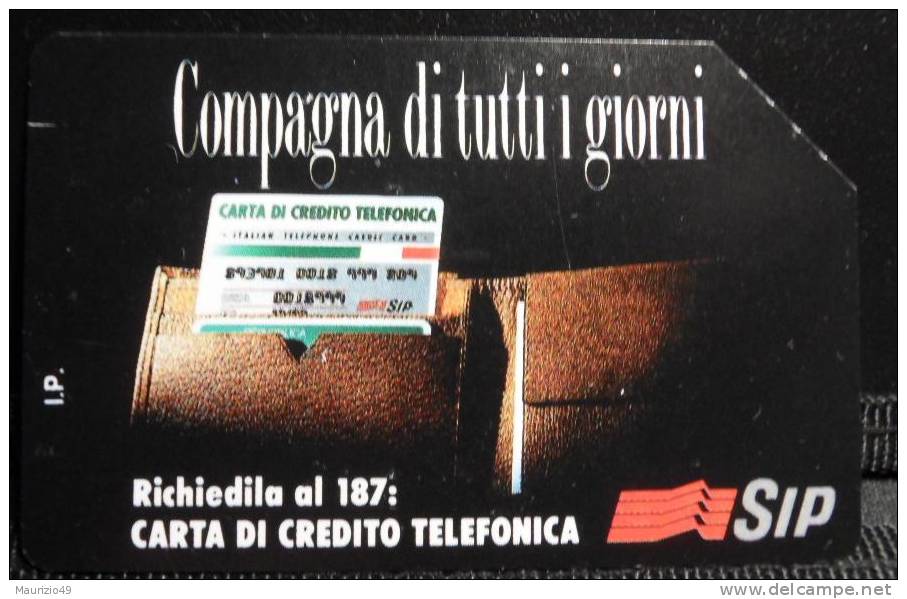 Nr 208 Compagna Di Tutti I Giorni SIP -scadenza 31-12-94 5000 Lire - Public Ordinary