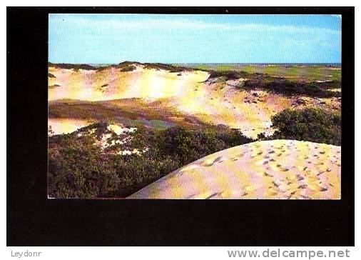 My Footprints On The Cape Cod Sand Dunes, Cape Cod, Massachusetts - Cape Cod