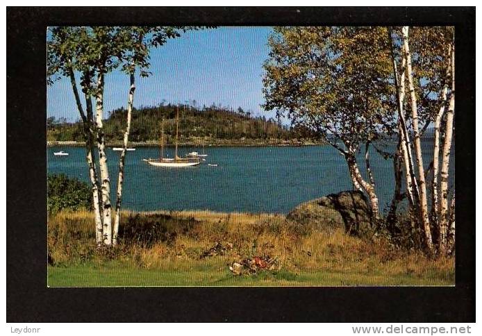 Arcadia National Park, Maine - Andere & Zonder Classificatie