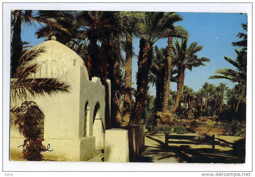 BECHAR Vue Panoramique - Bechar (Colomb Béchar)