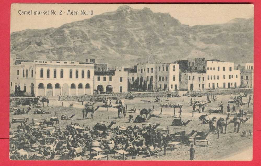 ADEN Camel Market No. 2 Aden No. 10  Uncirulated Vintage Postcard - Yemen