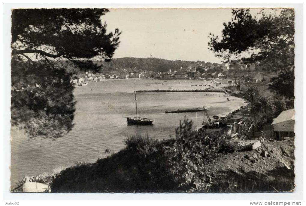 83 - SAINT MANDRIER - Vue Generale - Bord Dentele - Très Bon état - Saint-Mandrier-sur-Mer