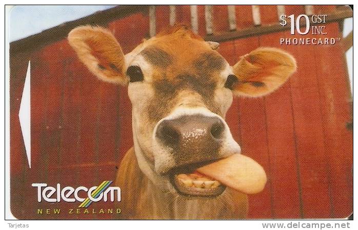 TARJETA DE NUEVA ZELANDA DE UNA VACA (COW) - Nieuw-Zeeland