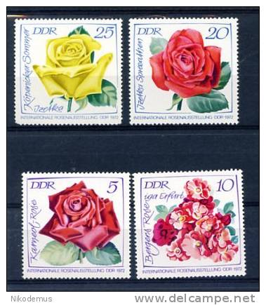 East Germany DDR Plants Pflanzen Rosen Allemagne Flowers Roses 1972 Mint - Roses