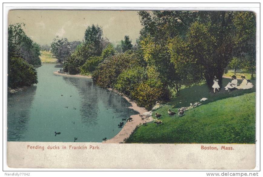 U.S.A. - MASSACHUSETTS - MA. - BOSTON - FRANKLIN PARK - FEEDING THE DUCKS - CIRCA - 1905 - Boston