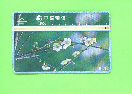 TAIWAN - Optical Phonecard As Scan - Taiwan (Formose)