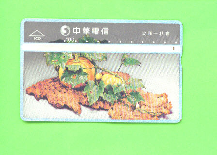 TAIWAN - Optical Phonecard As Scan - Taiwan (Formosa)