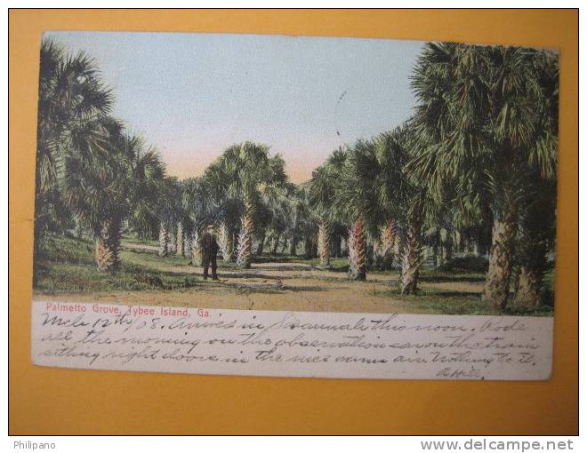 Palmetto Grove Tybee Island Ga   1908 Cancel - Autres & Non Classés