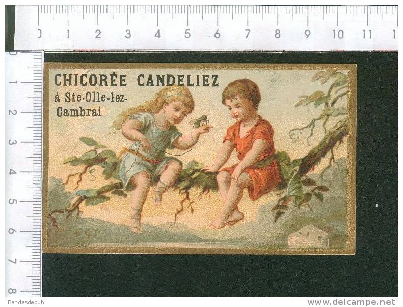 Candeliez Olle Lez Cambrai Jolie Chromo Romanet Enfant Branche Arbre Insecte - Autres & Non Classés