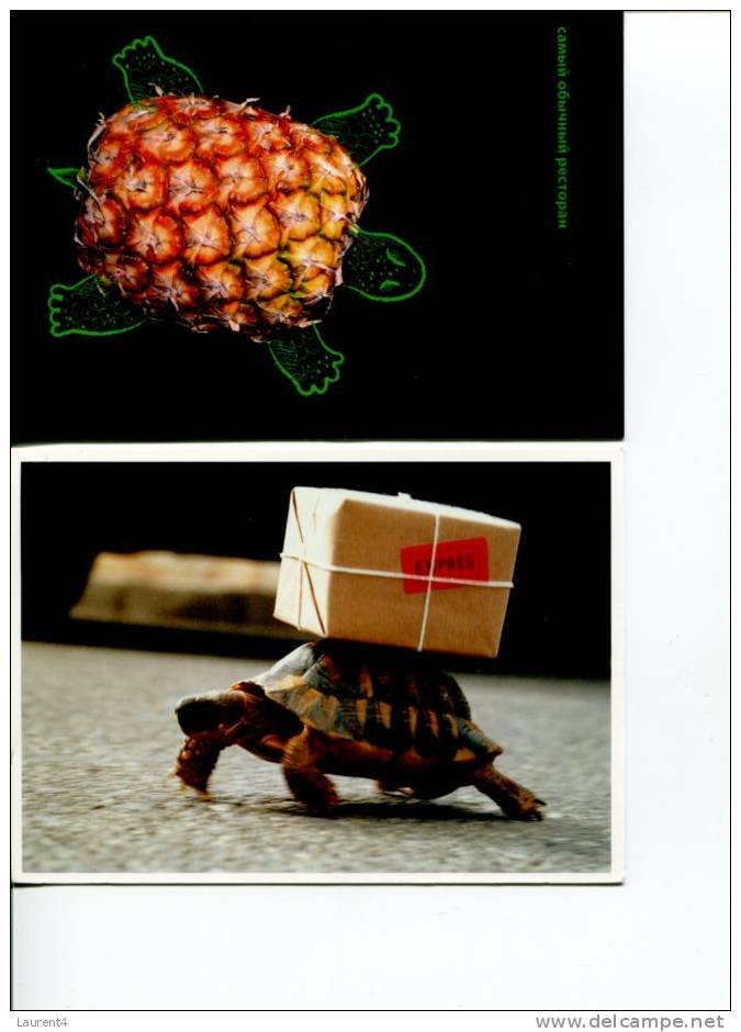 (0408) - 2 Tortoise Postcard - Carte De Tortue - Tortues