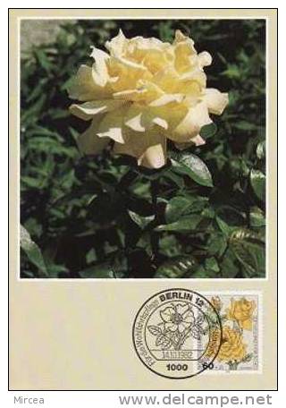 1195 - Berlin 1982 - Rosas