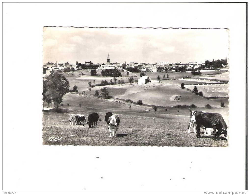 CPSM   SAINT DIDIER EN VELAY    La Campagne Et Un Coin Du Viilage - Saint Didier En Velay