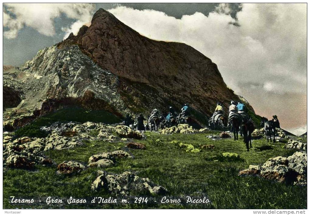 TERAMO. Gran Sasso D'Italia. Cavallo. Montagna. Vg. Per UDINE C/fr. Nel 1956. - Teramo