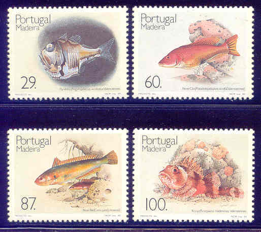 ! ! Portugal - 1989 Madeira Fishes - Af. # 1906 To 1909 - MNH - Nuevos