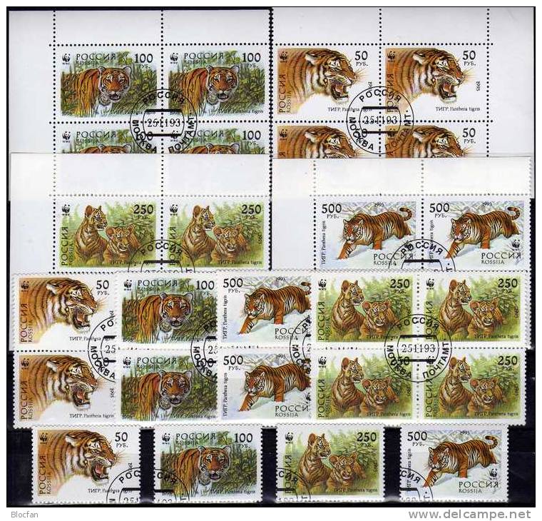 Groß-Katzen Tiger In Sibirien 1993 Russland 343/6,4-Block Plus ER-VB O 15€ Naturschutz Fauna Bloc Nature Sheet Bf Russia - Errors & Oddities