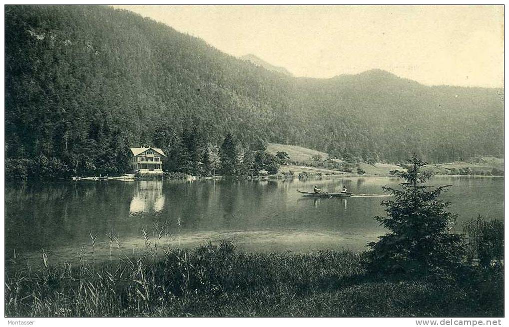 THUMSEE. Gasthof Und Boot.  Vg. Mit Briefmarke Nach. TRIEST In 1906. - Bad Reichenhall