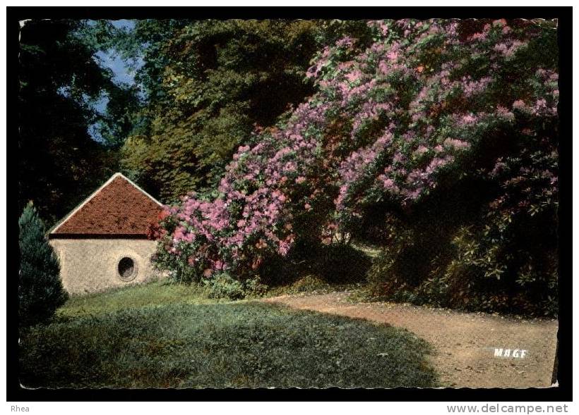 45 Châteauneuf-sur-Loire Fleur Rhododendron D45D K45082K C45082C RH101292 - Autres & Non Classés