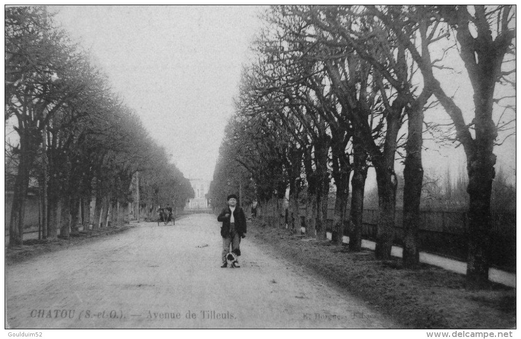 Avenue De Tilleuls - Chatou