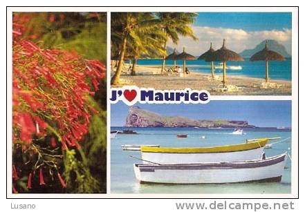 Ile Maurice - Mauritius - Couleurs De L'île - Colours Of The Island - Mauritius