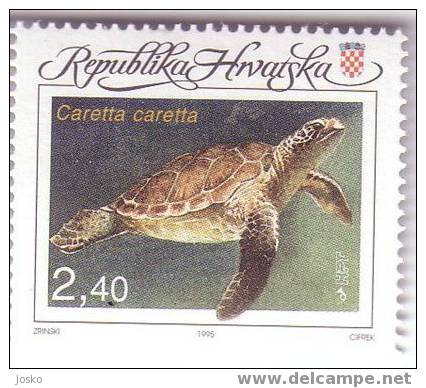 SEA TURTLE Caretta Caretta ( Croatia Stamp MNH** ) Tortue De Mer Tortoise Schildkröte Tartaruga Tortuga Turtles Tortues - Croatie