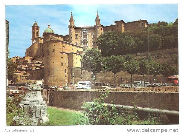 42324)cartolina Illustratoria Urbino - Palazzo Ducale E Particolare Dei Torricini - Urbino
