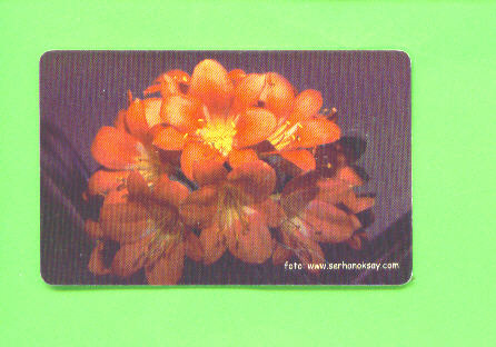 TURKEY - Chip Phonecard As Scan - Turkey