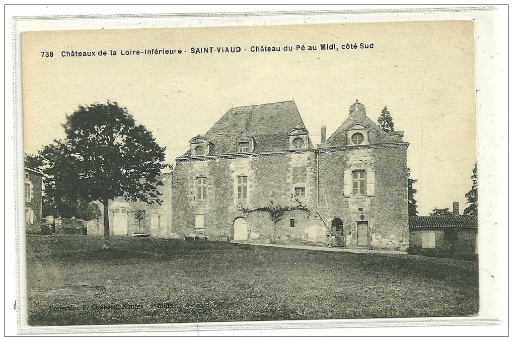 N738 CHATEAUX LOIRE INFERIEURE SAINT VIAUD CHATEAU DU PE AU MIDI COTE SUD - Autres & Non Classés