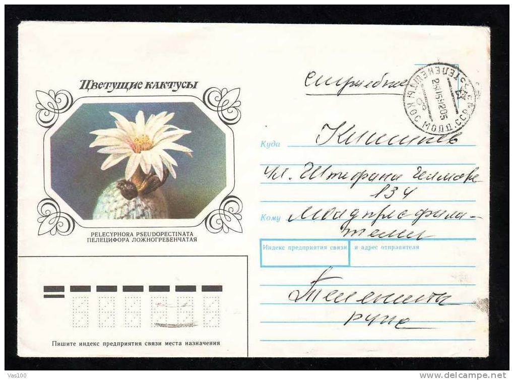 RUSSIA 1992 Enteire Postal Stationery Cover Circulated With Cactusses. - Cactus