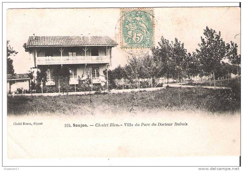 17 -  SAUJON -  Chalet Bleu - Villa Du Parc Du Docteur Dubois - Saujon