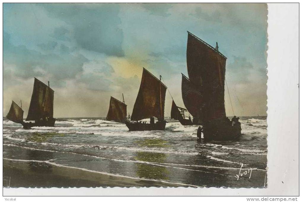 Cp , Côte D'Opale , Bateaux De Pêche - Nord-Pas-de-Calais