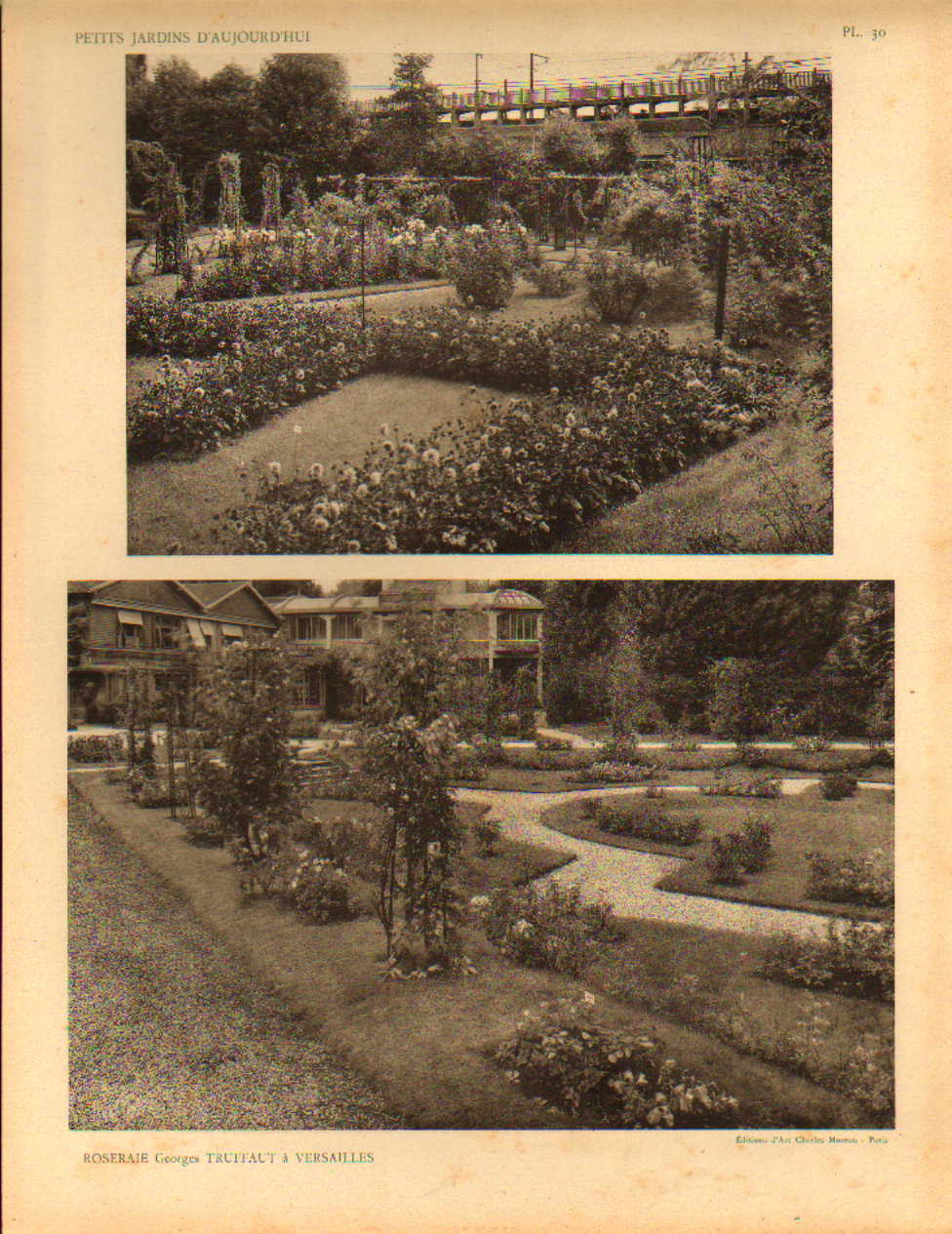 ROSERAIE Georges TRUFFAUT à VERSAILLES. Massif De Dalhias Nains, Et Plates-bandes De Rosiers Nains Polyanthas. - Lieux