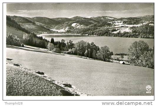 TITISEE Im Schwarzwald, 860 M ü. D. M. - Carte Petit Format - Titisee-Neustadt