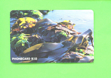 SOUTH AFRICA - Chip Phonecard As Scan - Afrique Du Sud