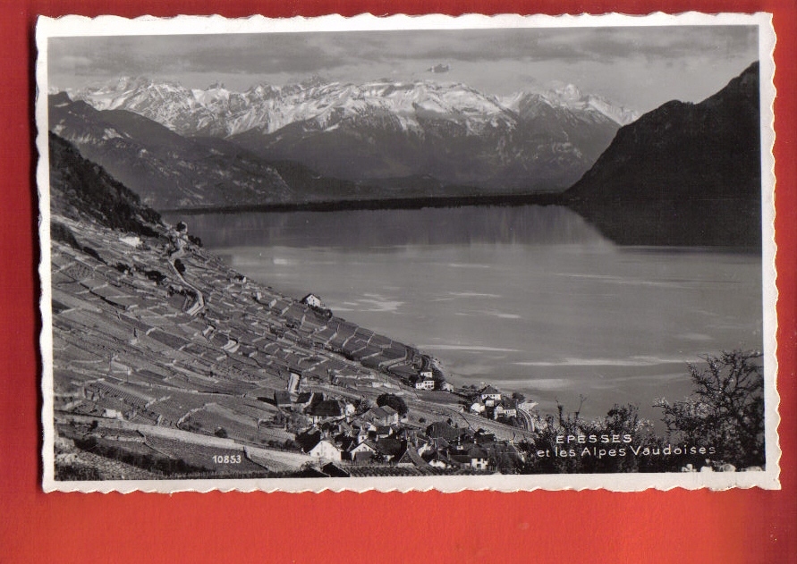 K344 Epesses Dans Le Lavaux Léman Et Alpesvaudoises,vignes,patrimoine Unesco.Cachet 1947.Perrochet 10853 - Épesses