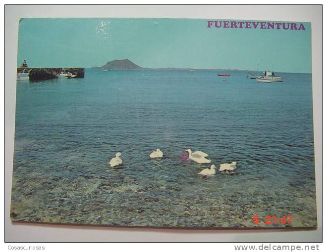 1147 FUERTEVENTURA  CORRALEJO ISLA DE LOBOS CANARIAS CANARY ISLANDS AÑOS 1970 OTRAS SIMILARES EN MI TIENDA - Fuerteventura