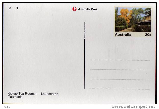 Arbre En Fleurs Launceston . Ile Tasmanie.  Australie.  Entier Postal  Neuf.  Recto-verso - Postal Stationery