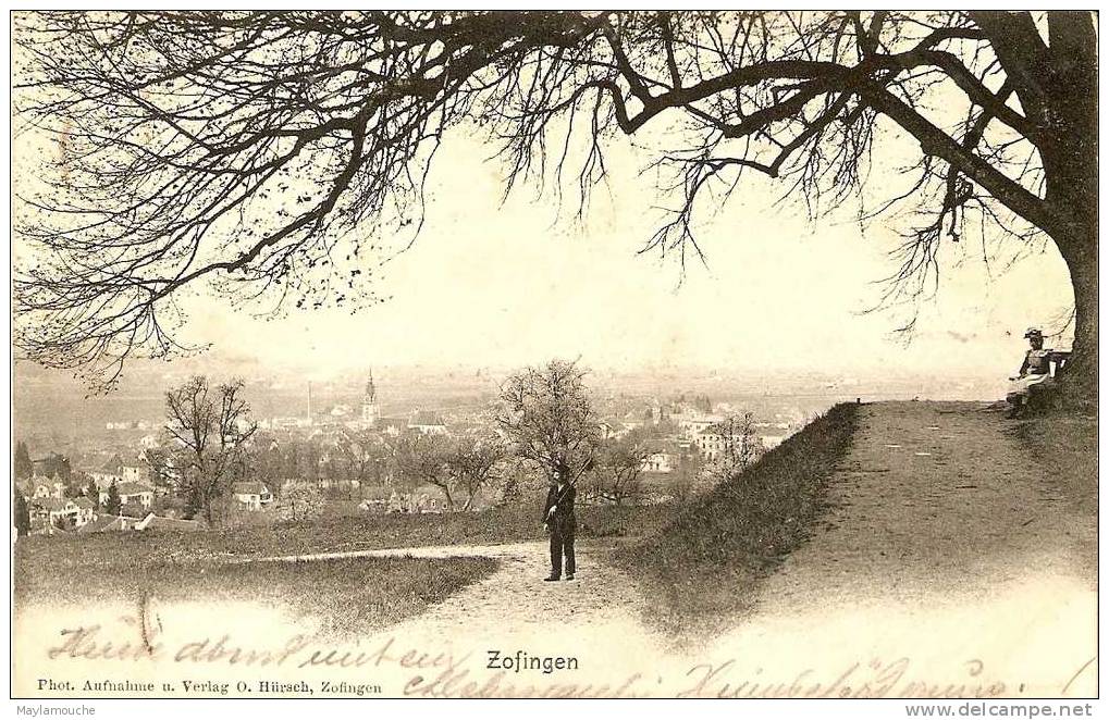 Zofingen 1904 - Zofingue