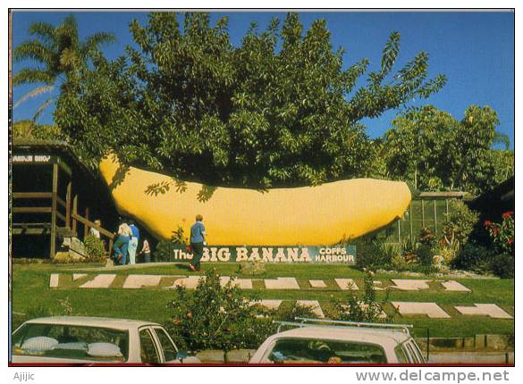 The Big Banana Plantation Au Queensland Australie , Entier Postal Poste  Neuf.  Recto-verso - Entiers Postaux