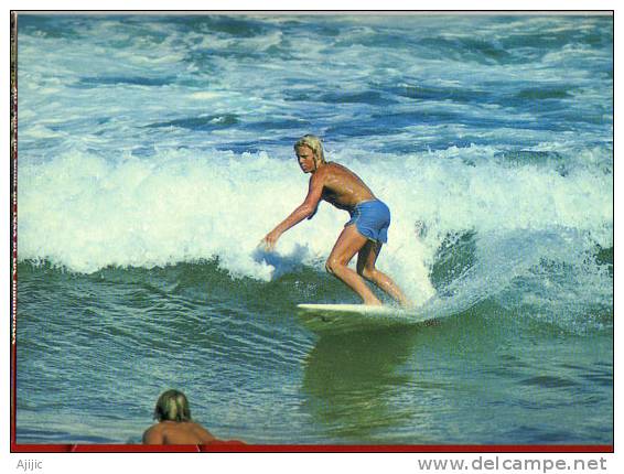 Surfing In Australia  , Entier Postal Poste  Neuf.  Recto-verso - Postwaardestukken