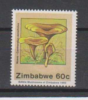 Zimbabwe MNH, Edible Mushrooms, Plants, Food Item - Zimbabwe (1980-...)