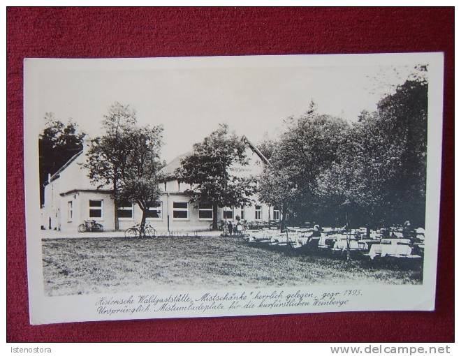 GERMANY / HOSTORISCHE WALDGASTSTATTE " MISTSCHANKE" / MORITZBURG / 1950-60 - Moritzburg