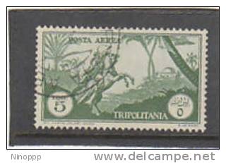 Tripolitania 1931 Air Post Lire 5 Horseman Used - Tripolitaine