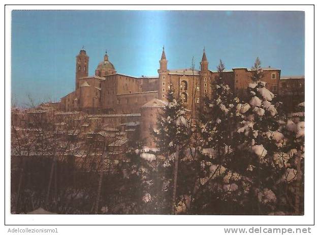 42762)cartolina Illustratoria Urbino - Panorama Invernale - Urbino