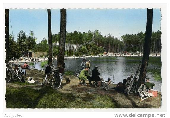 MONTENDRE  17 CHARENTE MARITIME  LE LAC BARON - Montendre