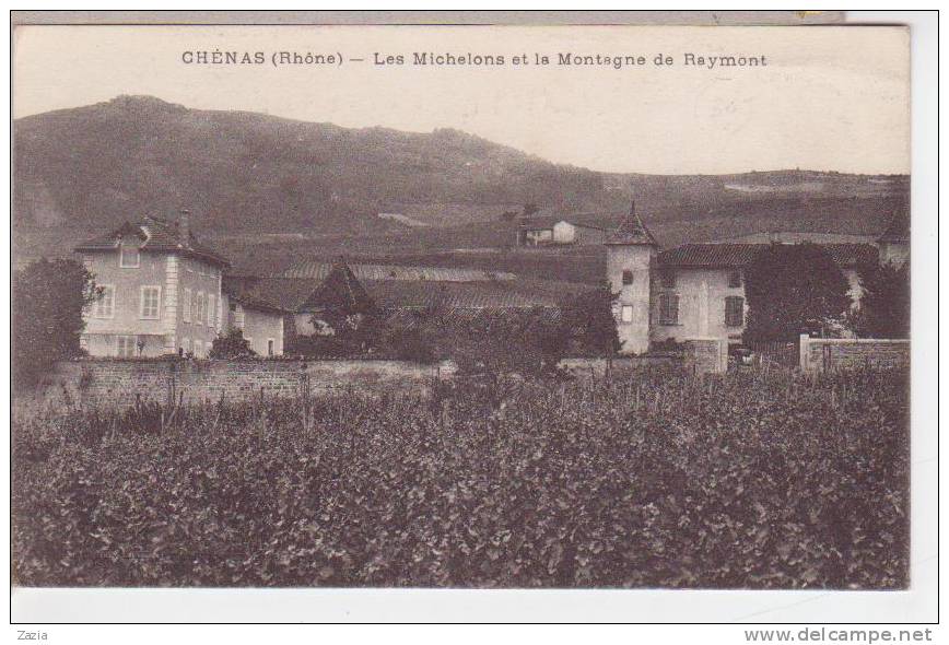 69.043/ CHENAS - Les Michelons Et La Montagne De Raymont - Chenas