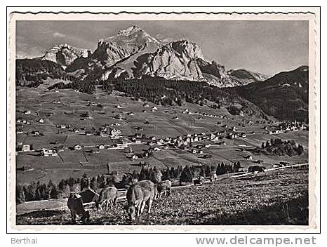 CPM SUISSE SG - WILDHAUS Mit Santis - Obertoggenburg - Wil