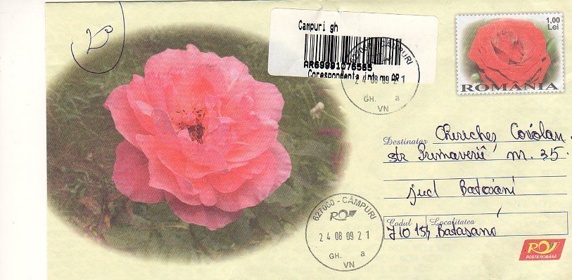 Romania  /  Postal Stationery Registered / Roses - Roses