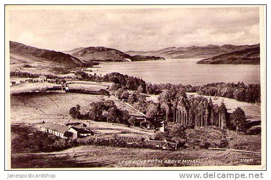 Loch FYNE From Above MINARD - ARGYLLSHIRE - Scotland. - Argyllshire