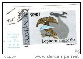 POSTA ROMANIA - "LOPHORINA SUPERBA" 9050 L ANNEE 2000 OBLITERE - Sammlungen